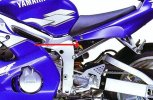 r6.jpg